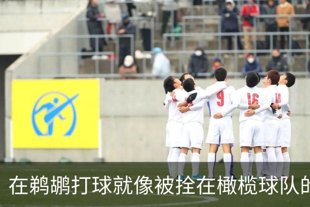 在鹈鹕打球就像被拴在橄榄球队的小狗